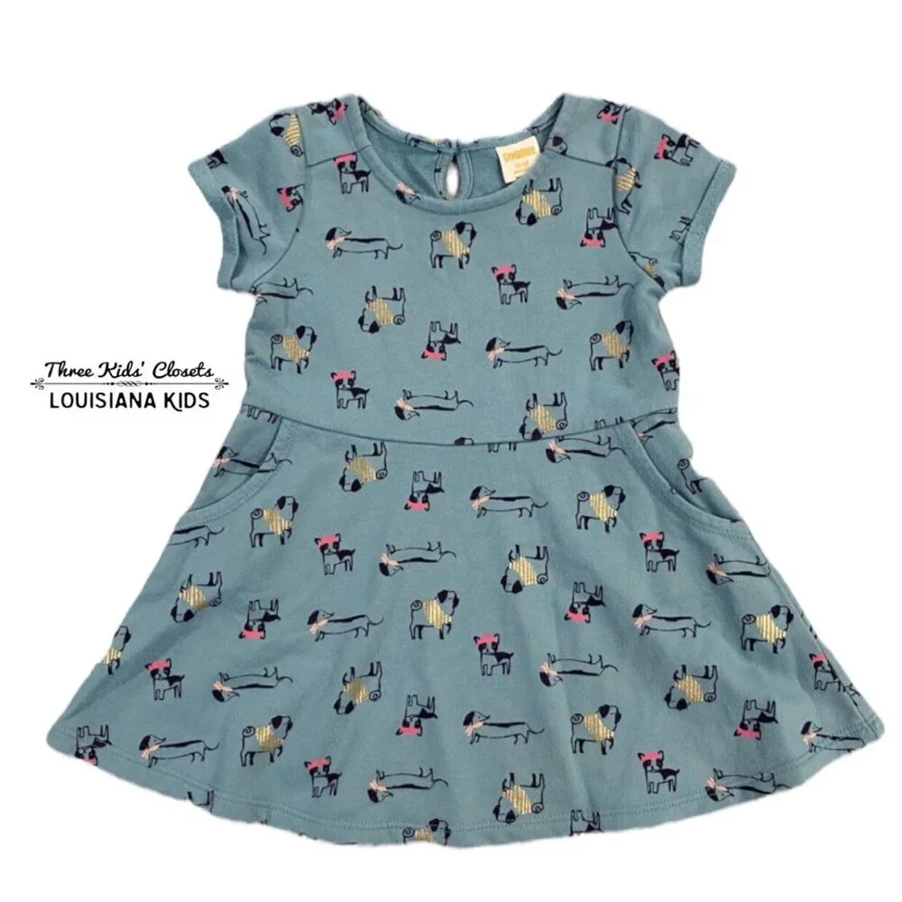 Gymboree 12-18m Metallic Puppy Dog Skater Dress